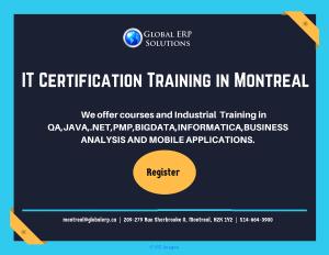 Business Analyst (BA) Training in Montreal