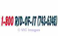 1-800-RID-OF-IT  Keeping Your Place Junk Free