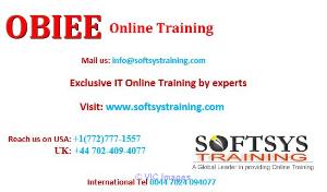OBIEE Online Training|OBIEE Softsystraining
