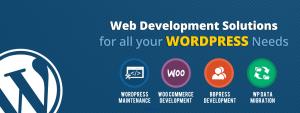 Hire Custom WordPress Development Company in India
