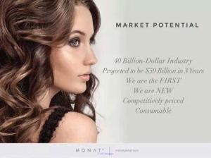 Looking for a new business opportunity?