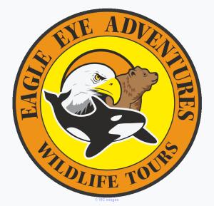 Whale and Qrizzly Bear Tours | Vacation Adventure Tours