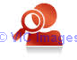 Urgent Opening for Document Collection Executive