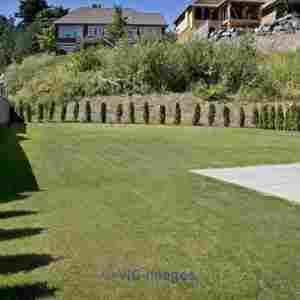 Excellent Commercial Landscape Maintenance Services