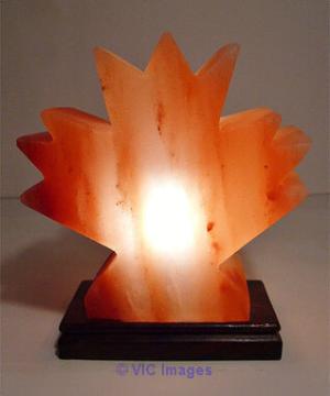 Buy Himalayan Salt Lamp  Mini Maple Leaf Shape