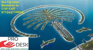 Need help to start a business in UAE, we are just a call away with PRO