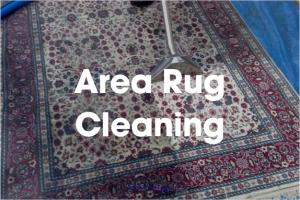 Carpet Cleaning Services Mississauga