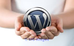 Hire WordPress Developers Online | IBL Infotech