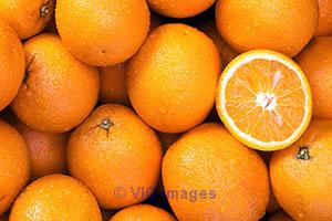 Spices in India,Spices Manufacturers in India,Spices Supplier in India