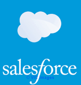 Sales force training staffs are certified professional