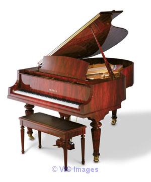 A Top Music Store for Pianos, Strings and Guitars