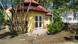 Property Available For Rent and Sale