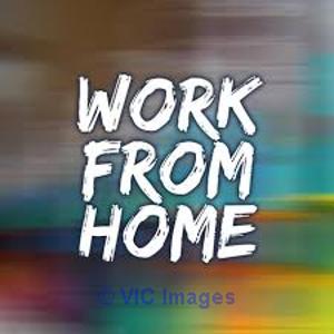 Guaranteed Income Data Entry with Bonus Free Jobs Pack (4963)