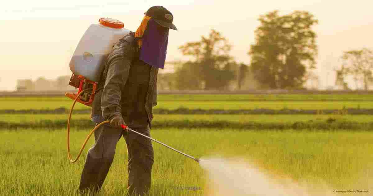 Talc Powder Help to Explore Agriculture Industry Worldwide- 2017
