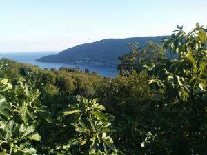 House and plot for sale in Montenegro's coast