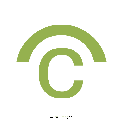 Canopy Media - Internet Marketing Company - Offering in Toronto - GTA,
