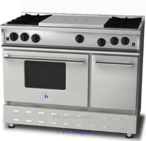 Bluestar RNB484FTBV2 RNB Series