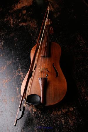 Visit Remenyi for All Your Violin Requirements