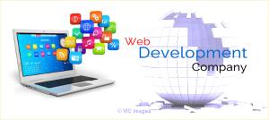 Get the best Web development services from Thinkwik