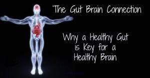Brain & Gut Health. The Ultimate Path To The Healthiest YOU