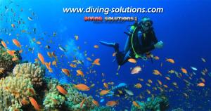 Diving Equipment For Sale