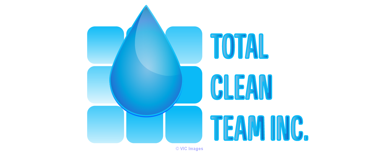 Total Clean Team Inc