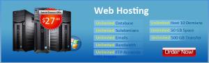 Windows Web Hosting ASP.net Hosting Unlimited Web Hosting