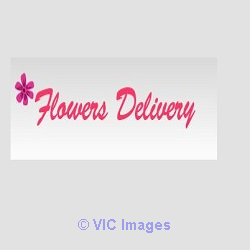 Same Day Flower Delivery Toronto