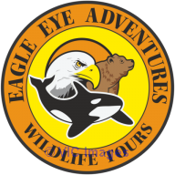 Grizzly Bear Tours Vancouver Island