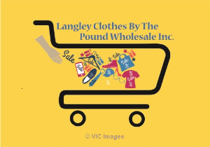 Wholesale Halloween Costumes by Pounds