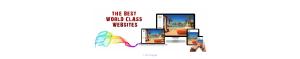 Professional Website Design