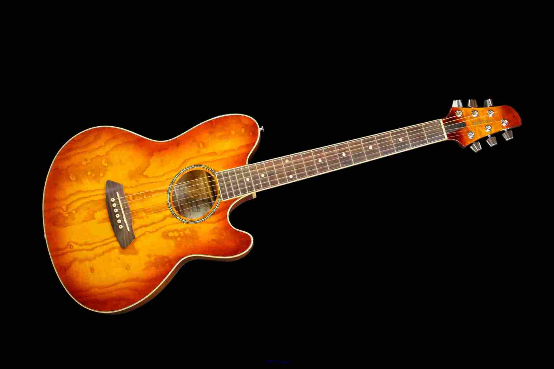 Remenyi  Among the Top Toronto Guitar Stores