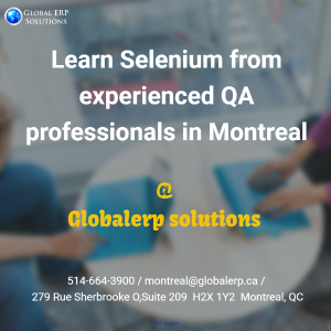 Selenium Beginner level Training in Montreal