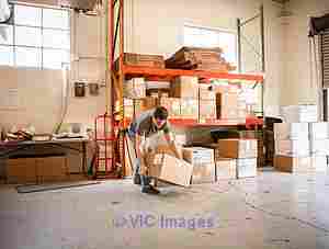 Newspaper Delivery Tampa