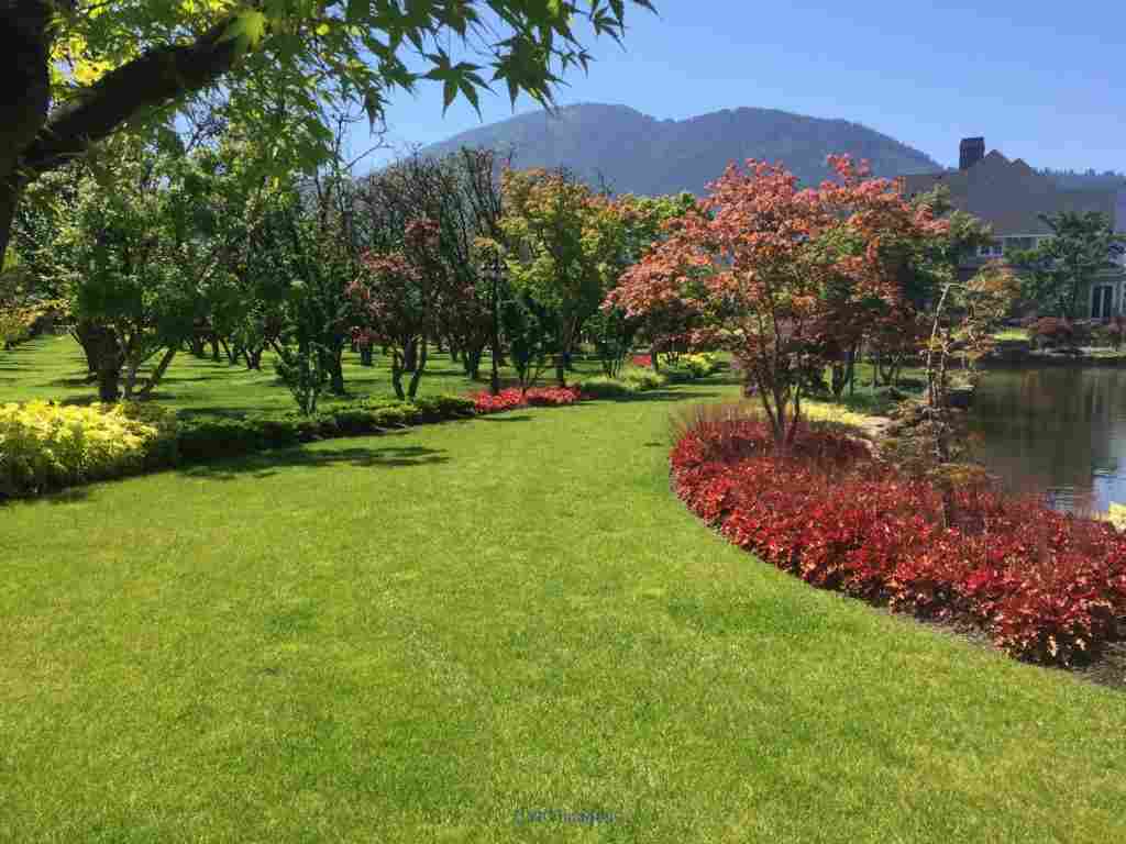 Chilliwack Lawn Mowing - Transformations Landscaping