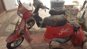 Honda Spree, 50cc, Classic