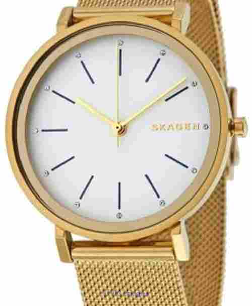 Skagen Hald Quartz SKW2509 Womens Watch