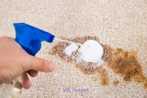 Carpet Cleaning Hamilton