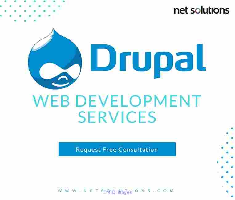 Custom Drupal Website Development Services