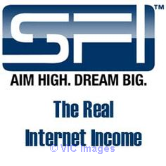 earn money online work at home, online business