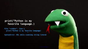 Python Developers India