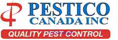 Safeguard Your Property from Nuisance Squirrel with Best Pest Control