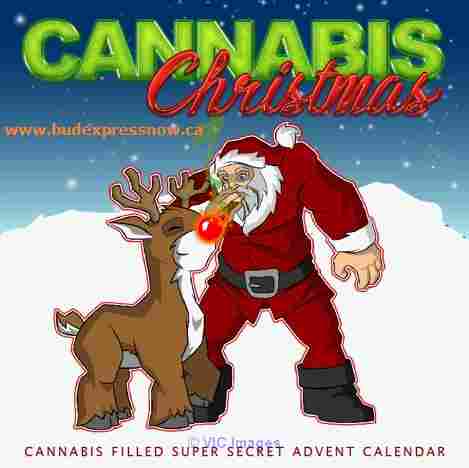 Cannabis Christmas Advent Calendar - BudExpressNOW.ca