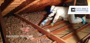 Experience the Most Efficient Attic Insulation Removal in Toronto