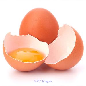 Ecovatec Offers Canadian Egg Technology