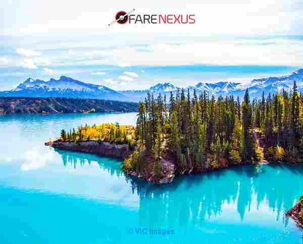 Best Flight Offers