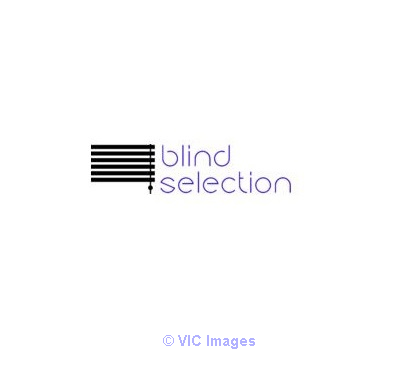 White Venetian Blinds