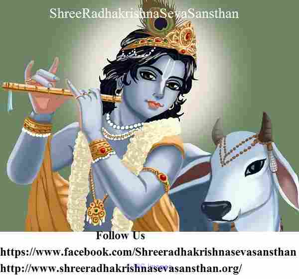 Shree Radha Krishna Seva Sansthan Shreemad Bhagwat Katha india
