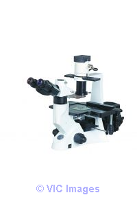 fluorescence microscope,industrial microscope, live cell imaging