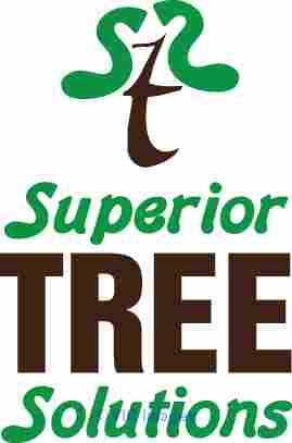 Niagara Tree Removal / Hamilton Tree Removal
